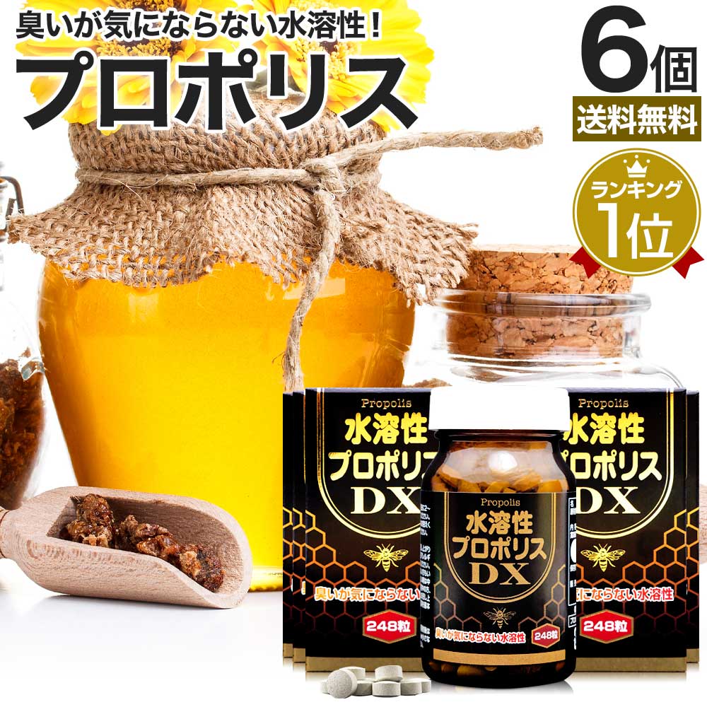 水溶性プロポリスDX粒 248粒*6個 約162-186日分 サプリメント サプリ