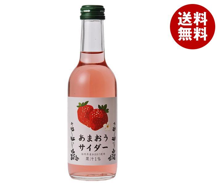 友桝飲料 あまおうサイダー 245ml瓶×24本入×(2ケース)
