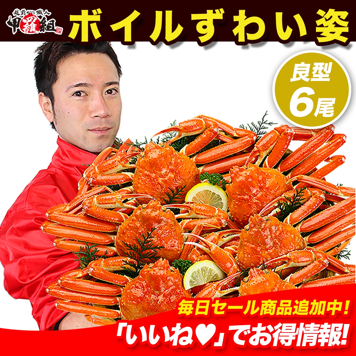 良型ボイルずわいがに姿 3kg 6尾　業務用産地箱 カニ かに 蟹 鍋 カニ鍋 メガ盛 業務用　【初心者さんでも安心！さばき方動画あり】