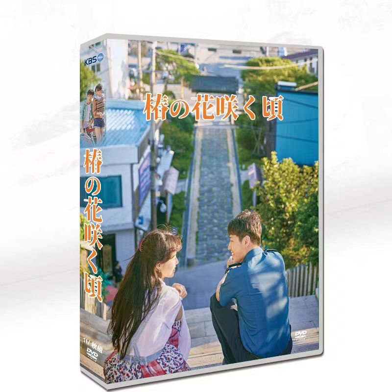 ○日本正規品○ VIP-迷路の始まり- DVD-BOX1 ／ チャンナラ (DVD) HPBR