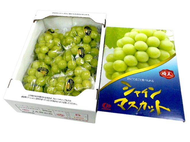 岡山産 =シャインマスカット 晴王= 3-5房 約2kg 産地化粧箱 予約 7月下旬以降