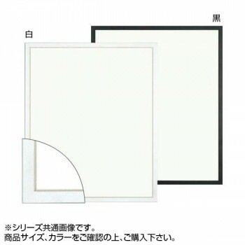 大額 5382 デッサン額 大全紙 白