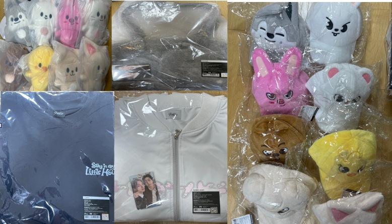 [ON HAND] Stray Kids 6TH FANMEETING STAY in Our Little House [B] SKZ, SKZOO