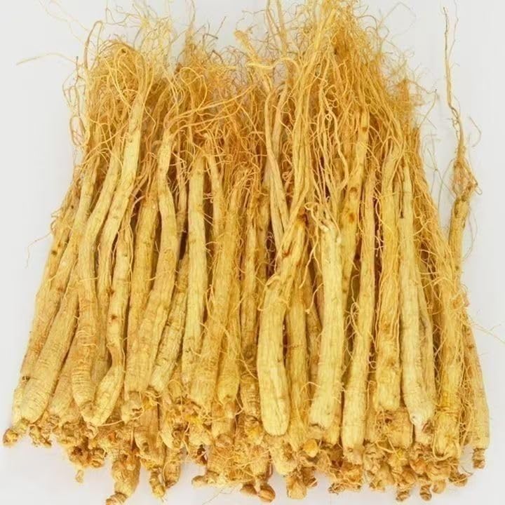 JINQI 長白山産 高麗人参 朝鮮人参 オタネニンジン 100g