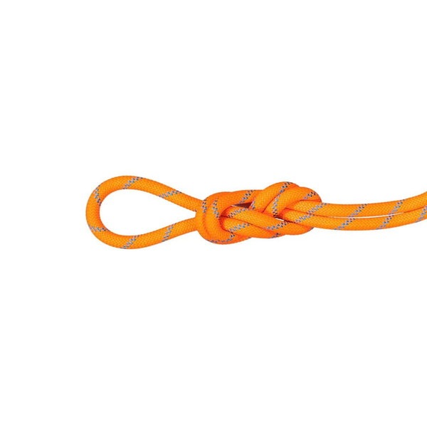 マムート MAMMUT 8.7 アルパイン センダー ドライ ロープ 70m 2010-04190-11285-5 ユニセックス