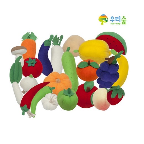 ブレインフォレストマランマランフルーツ野菜21種幼稚園児童家学院教習教区団体創造力