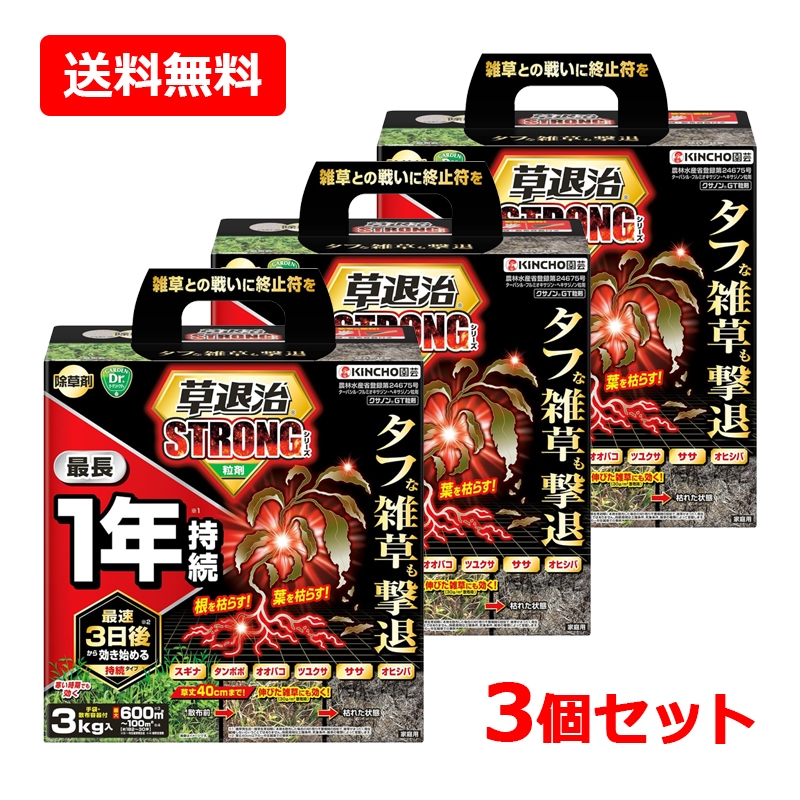 【3個セット】【KINCHO園芸】草退治ストロング 粒剤 3kg×3セット　雑草 除草剤 無臭タイプ ストロングシリーズ 粒タイプ クサノンGT粒剤