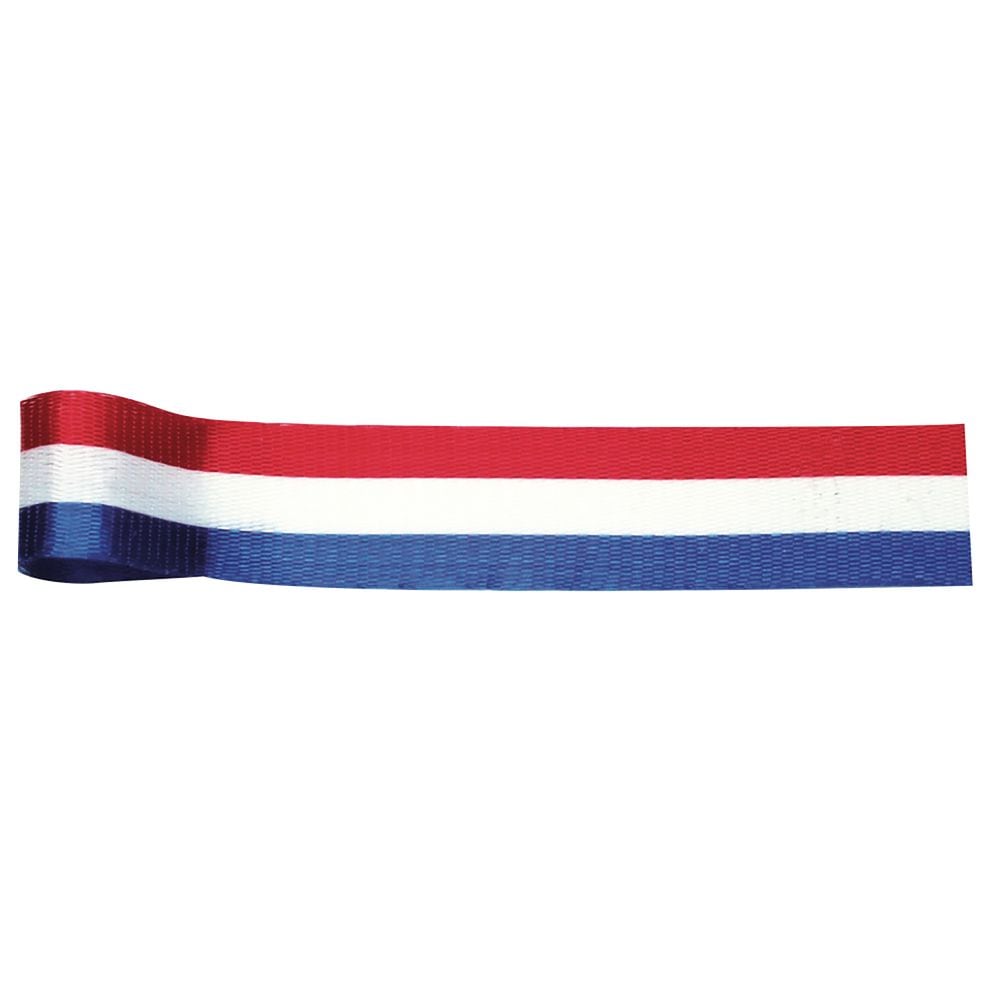 （まとめ買い）ササガワ 催事用リボン 式典用品 フランス 幅12mm 30m巻 50-7205 [x5]