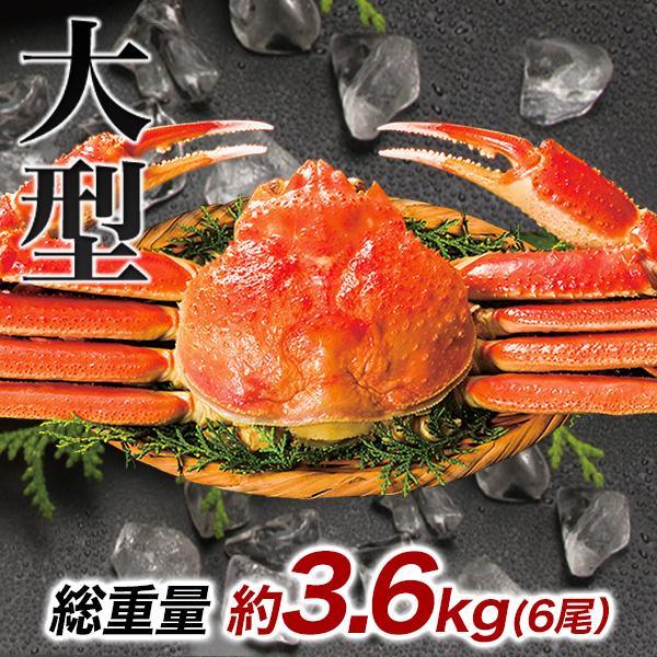 大型ボイルズワイガニ姿まるごと 総重量:約3.6kg(6尾 正味3kg)