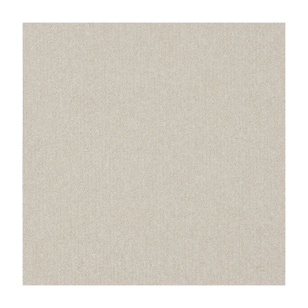 業務用 防炎/静電 タイルカーペット 約50x50cm 20枚入 ECOS MJ-1006