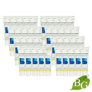 多肉植物アエオニウム ꕤ欧嘉麗法師錦ꕤ木立、高足 (大苗群生19頭以上