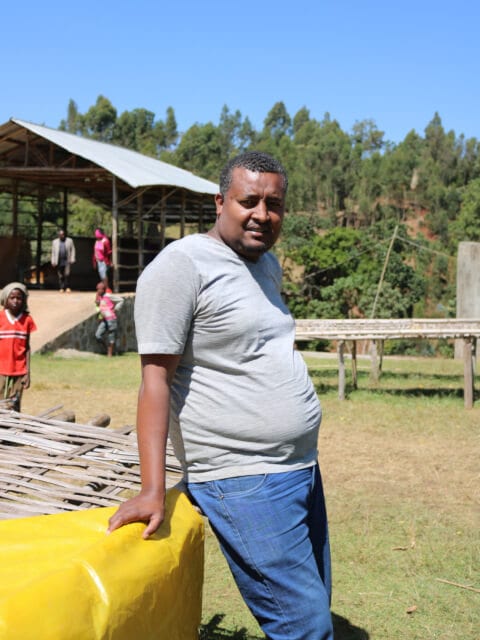 コーヒー生豆 1kg エチオピア シダモG1 アルベゴナ ウォッシュド 大山珈琲