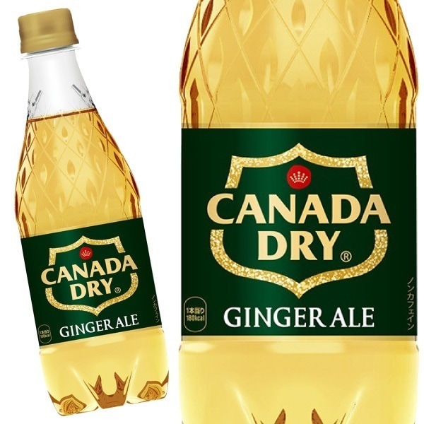 カナダドライ ジンジャーエール 500ml 48本 （24本入2ケース）