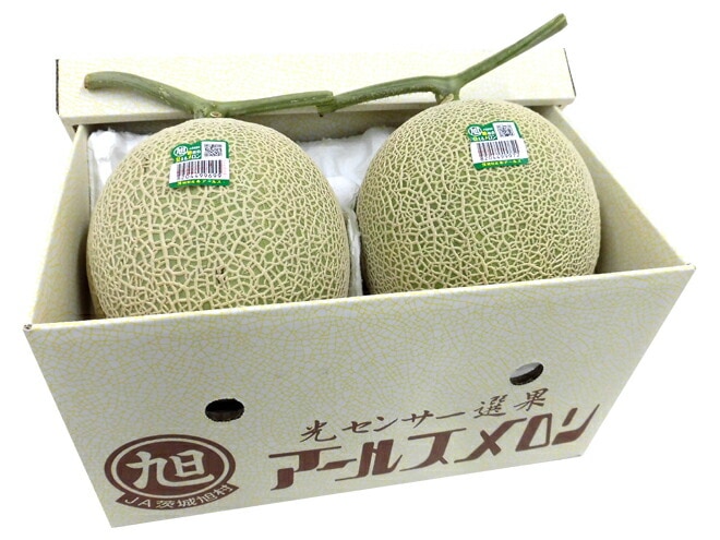 茨城県 旭村 =温室マスクメロン= 秀品 超大玉2玉 約3-4kg 予約 7月末以降