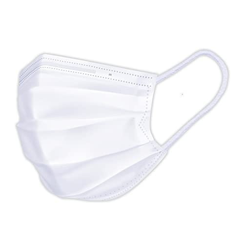 [アイリスオーヤマ] 【風邪予防 マスク 不織布 幅14.5 日本製 プリーツマスク 240枚入り PN-NC240S 小さめサイズ