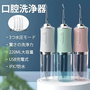 新入荷口腔洗浄器 usb 充電式 超音波 歯垢除去 電動 ジェットウォッシャー 歯石取り 口腔ケア 携帯型 歯ブラシ 歯垢除去 ウォーターフロス ドルツ 父の日 口内洗浄機