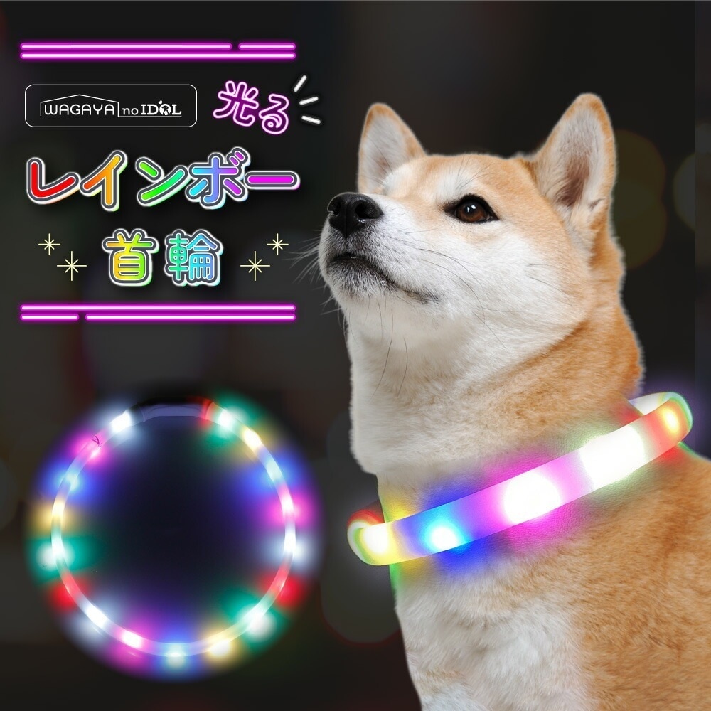 Qoo10] WAGAYA no IDOL 光る レインボー首輪 ペット 犬 猫 首