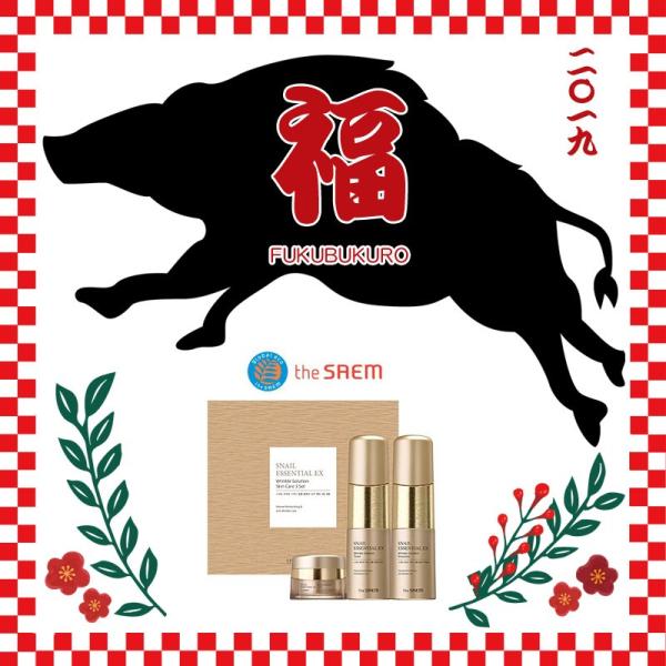 スネイル エッセンシャル EX リンクル ソリューション スキンケア 3種セット Snail Essential EX Wrinkle Solution Skin Care 3Set 2019 福袋