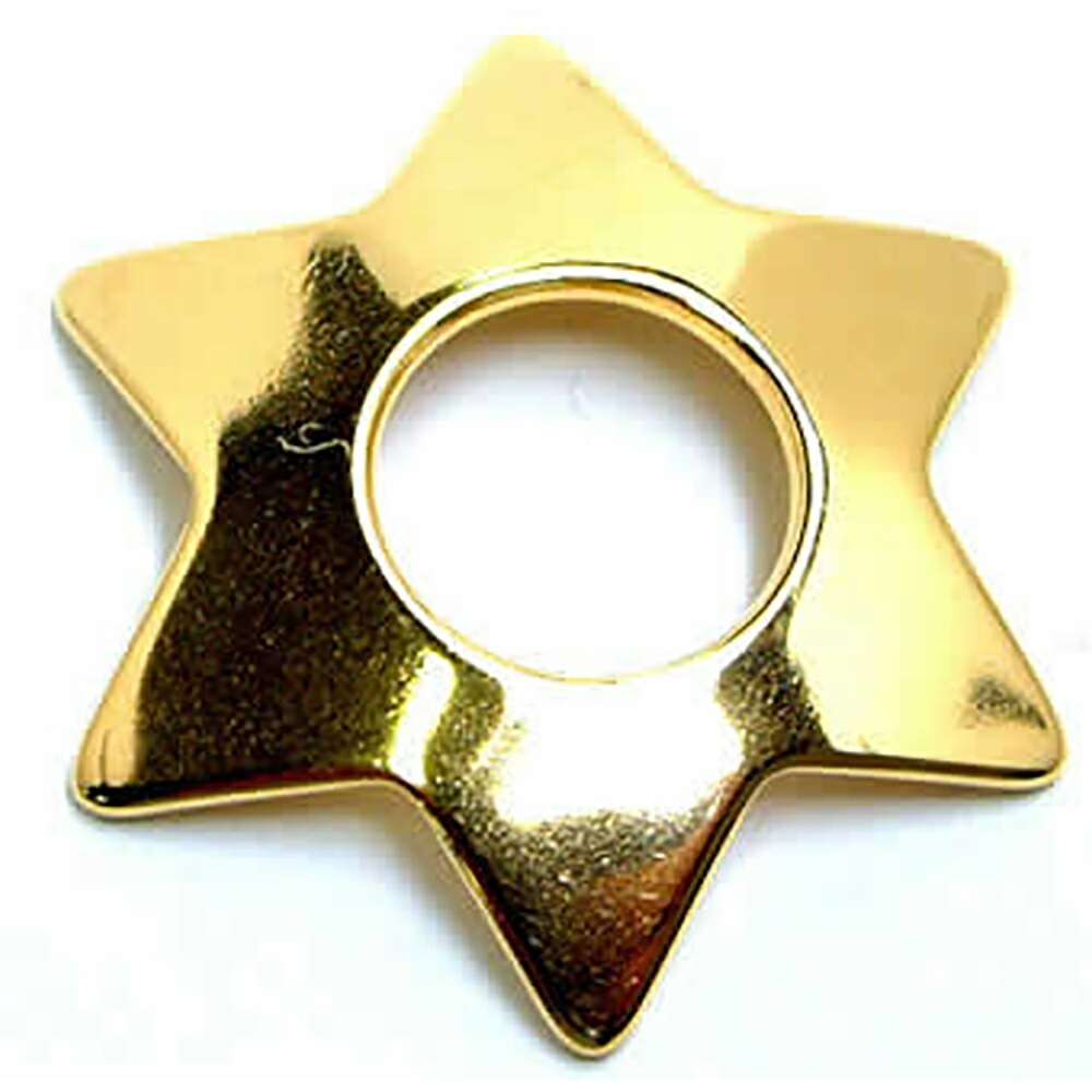 ボディピアス ゴールドスターニップルディスク 金色 六芒星 サージカルステンレス316L 胸 乳輪 乳首を覆うアクセサリー バーベルやリングは別売り 男性 女性 シールド gnsh6xxxxxxxx