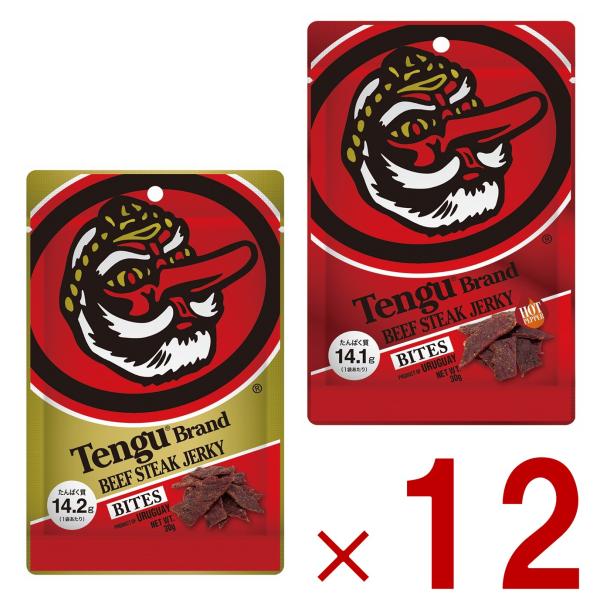 テング ビーフジャーキー バイツ レギュラー ホット 30g おつまみ 天狗 ビール プロテイン キャンプ お土産 日本酒 お酒 各12個