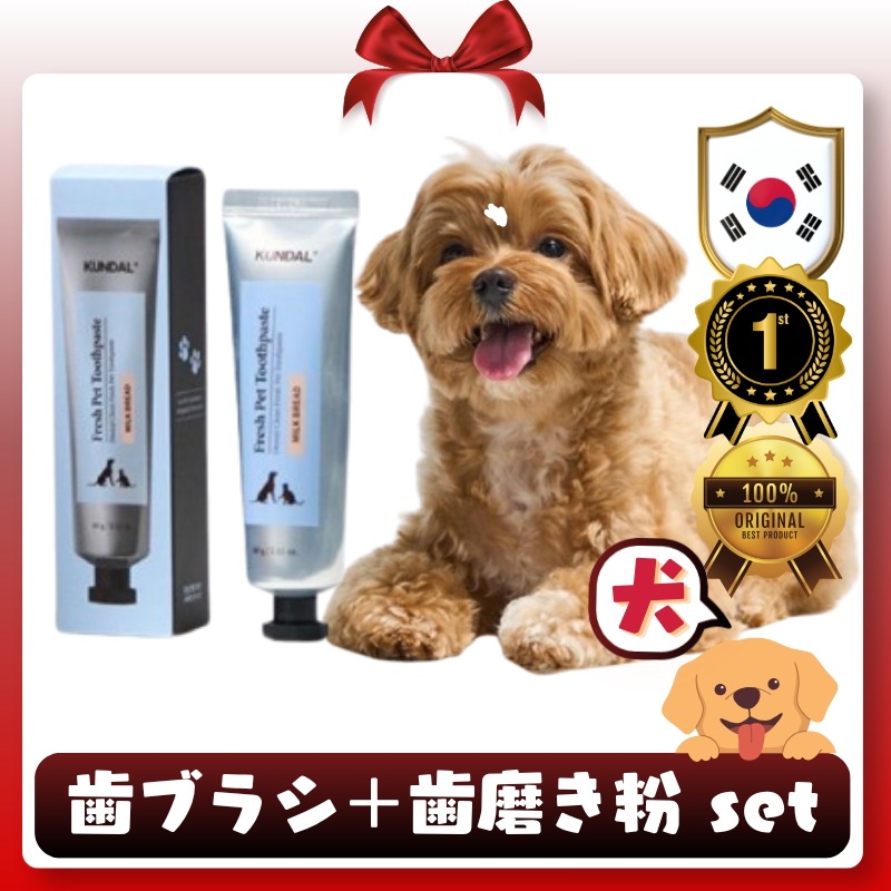 【宝箱】KUNDAL ペット用 歯ブラシ ＋ 歯磨き粉 60g セット 歯と歯ぐきの健康維持 犬 猫 ペット用品 健康