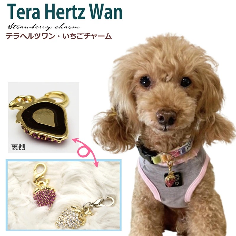 テラヘルツワンいちごチャーム犬用アクセサリー ペット介護 犬用 犬介護 ワンコ テラヘルツワン 日本製 クークチュール 2メ-3運 8053 【T】