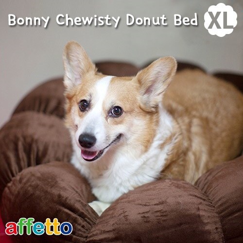 c中毒性が非常に強いペットヒーリング用品 Bonny