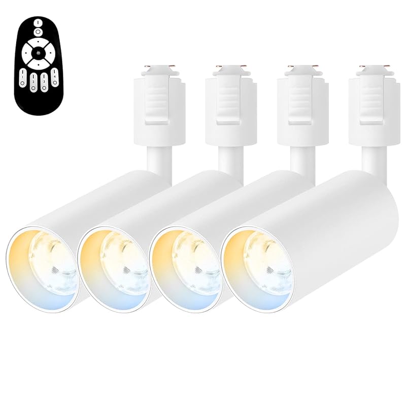 ANWIO スポットライト 4個セット ダクトレール用 4.5W（40W形相当） リモコン付き ライティングレール用 LED内蔵式 電球不要 北欧 角度可動 取付簡単 電気 コンセント 壁 天井 おし