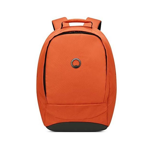 DELSEY Paris Securban Backpack (13.3