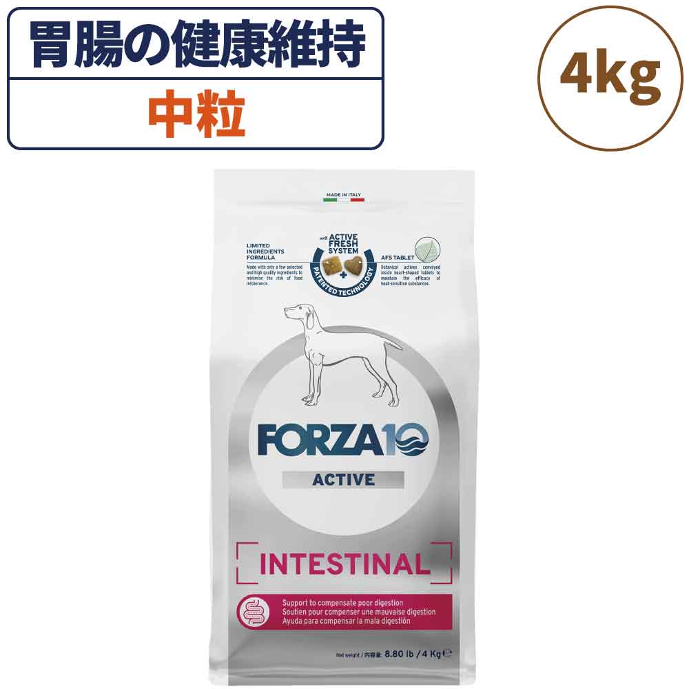 フォルツァ10 アクティブライン インテスティナルアクティブ 中粒 4kg 犬 フード ドッグフード 胃腸 消化 乳酸菌 犬用 フード ドライ 小粒 無添加 FORZA10