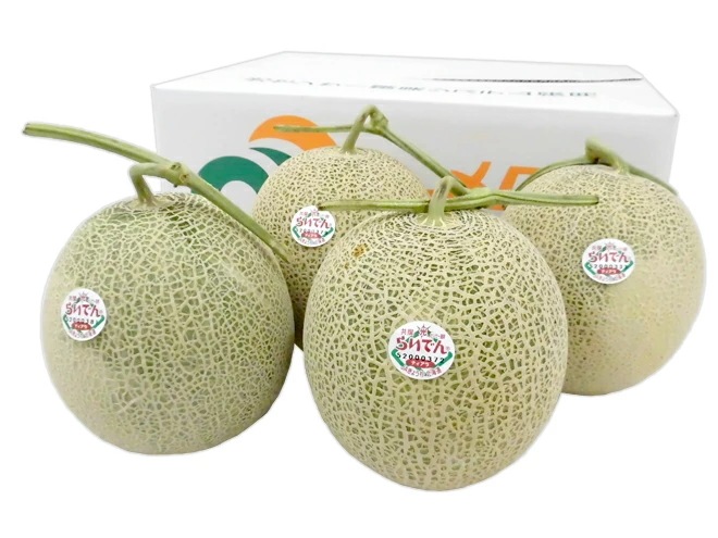 北海道 赤肉メロン =らいでんレッドメロン= 優品 4-5玉 約8kg 化粧箱 予約 9月以降