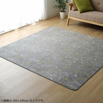 ラグ カーペット ホットカーペットカバー 『WSミリオン　RUG』グレー約200x300cm 9809984