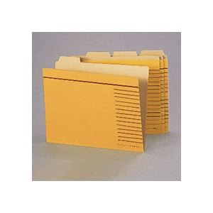 （まとめ）ライオン事務器 カットフォルダー A4判A4-4F-R-20P 1パック(20冊) (×3セット)