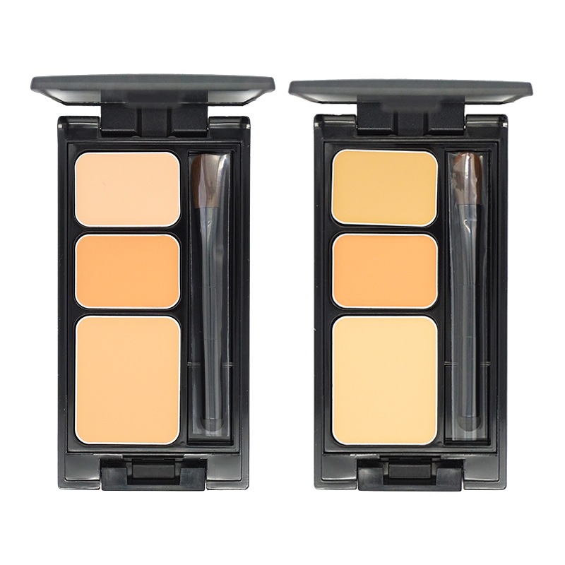 ミネラルコンシーラーパレット [2種類から選べる] SPF36 PA+++ 3.1g ファンデーション 化粧下地 コンシーラー [ギフトラッピング対応]