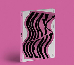 MAXIDENT:Stray Kids 特典バラ売り Stray Kids - MAXIDENT : Mini Album 韓国盤 CD 公式 アルバム