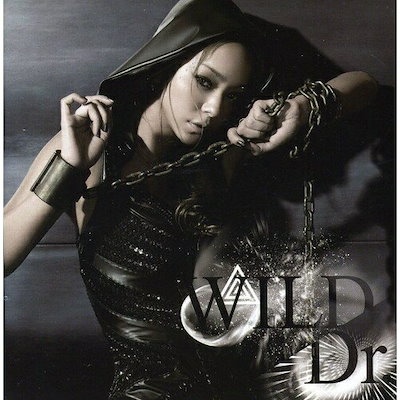 k 新品 非売品 安室奈美恵 販促 告知 ポスター B2 WILD Dr X 新品 非売品 安室奈美恵 販促 告知 ポスター 2010 告知 ツアーDVD