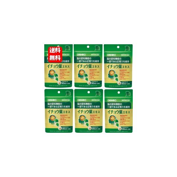 【送料無料】イチョウ葉エキス 120粒入６袋セット【機能性表示食品】イチョウ葉由来の2つの成分が「記憶力の維持」に役立ちます イチョウ葉 サプリメント