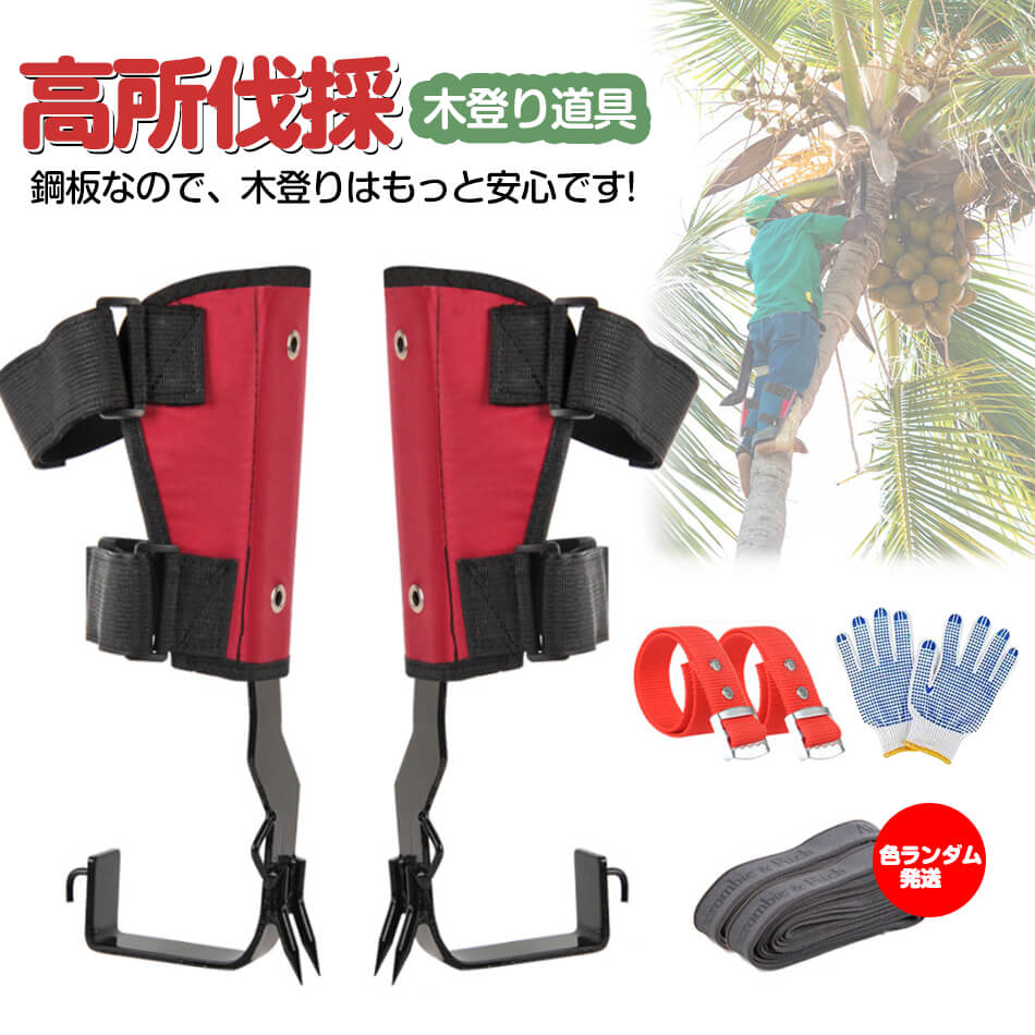 【3日出荷 最安値挑戦!】新品更新 厳選素材木登りスパイク 木登り器 木登り道具 昇柱器 直立木登りツール 木登りスパイクセット 調節可能なストラップロープ 林業用品 伐採 道具 狩猟や観察果物狩りジ