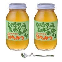 鈴木養蜂場 はちみつ 大瓶2本セット（菜の花1.2kgレンゲ1.2kgはちみつスプーン）