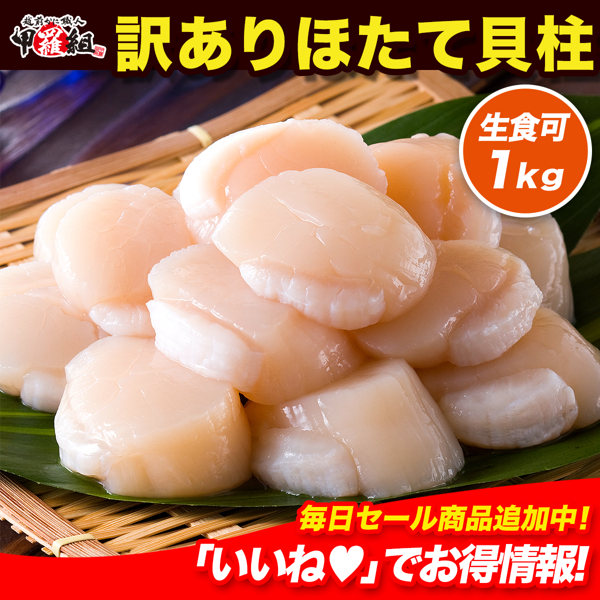 北海道産のお得な【訳あり（割れ/不揃い）】生ほたて貝柱どっさり1kg 帆立 ホタテ ほたて