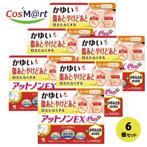 【6個セット】 【第2類医薬品】 【小林製薬株式会社】アットノンＥＸかゆみ止めプラス10g(4987072087398-6)