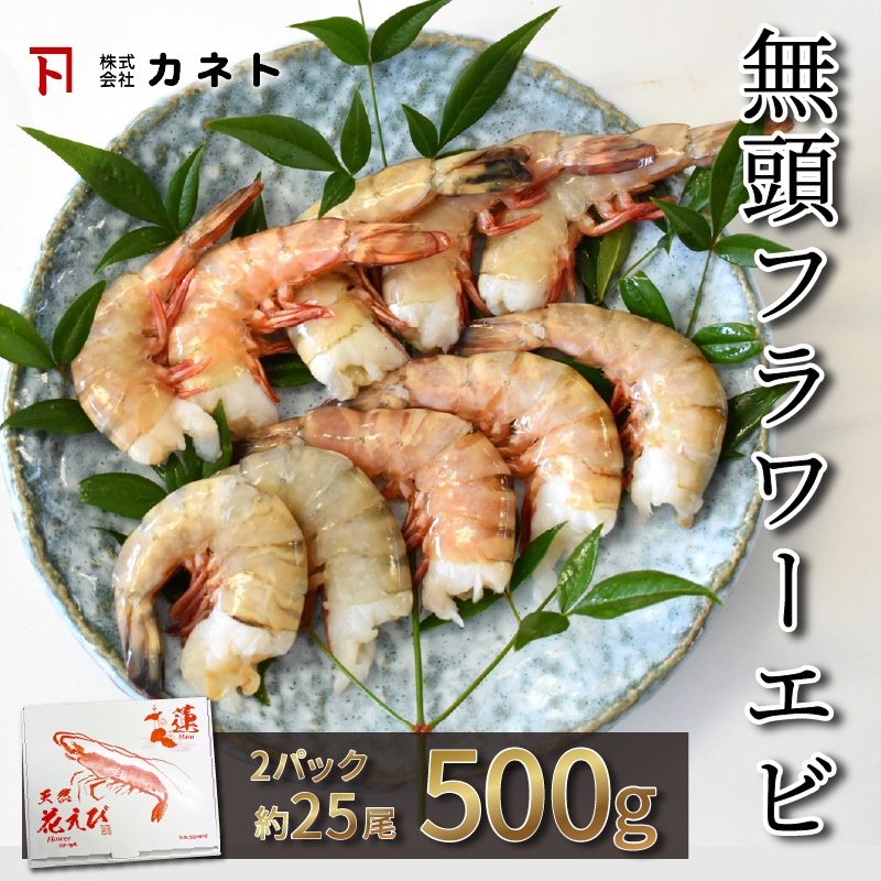 頭無フラワーエビ 500g2パック　約25尾