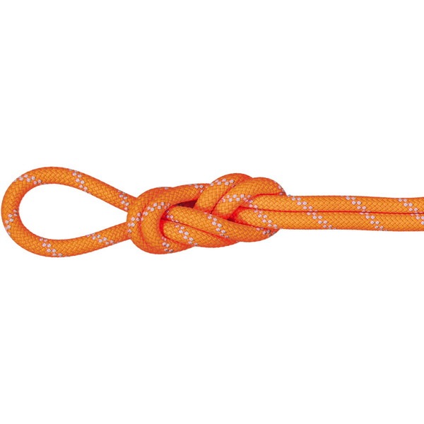 MAMMUT マムート 9.5 Alpine Dry Rope 201004220C-11256 ロープ