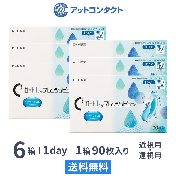 ロート ワンデーフレッシュビュー リッチモイスト 90枚 6箱