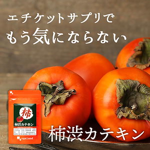 柿渋カテキン（約1ヶ月分）