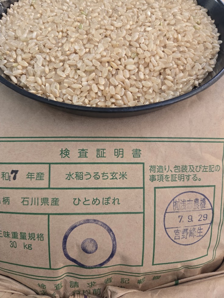 ひとめぼれ　玄米　３０kg　　石川県珠洲市産　　令和7年産