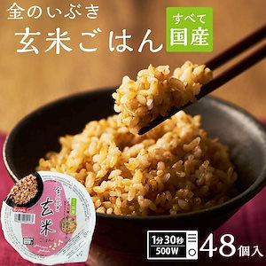 パックご飯 金のいぶき 玄米 パック 48個セット 160g 米 お米 こめ おこめ 安い レトルト食品 レトルト ご飯パック ごはん レンジ 無添加 国産 ギフト お中元 お歳暮 おくさま印