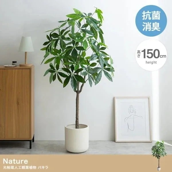 人工観葉植物 インテリアグリーン パキラ 光触媒 抗菌 消臭 フェイクグリーン 観葉植物 高さ150cm