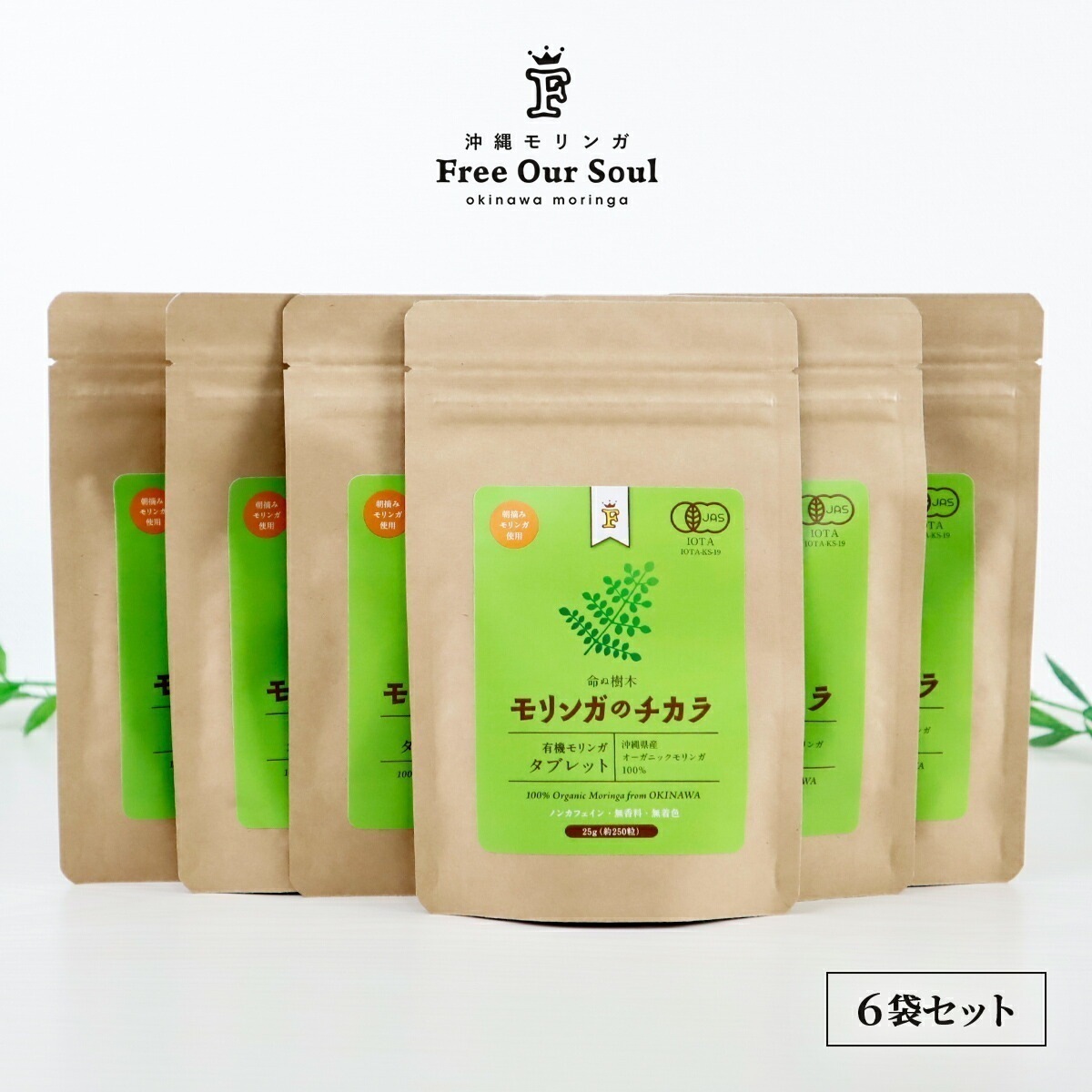 モリンガのチカラ タブレット 25g(約250粒) 6袋 Free Our Soul 朝摘みモリンガ
