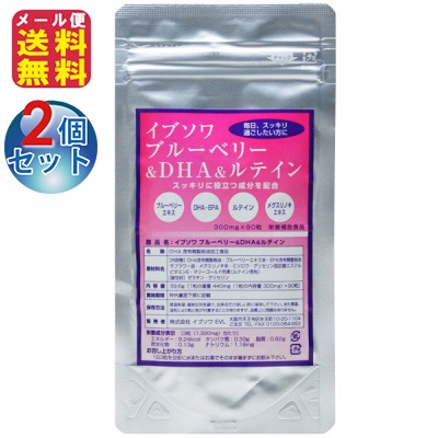 【ブルーベリー＆ＤＨＡ＆ルテイン(2個セット)】賞味期限2年 90粒 30日分 ブルーベリー メグスリノキ サプリ ルテイン dha epa サプリメント